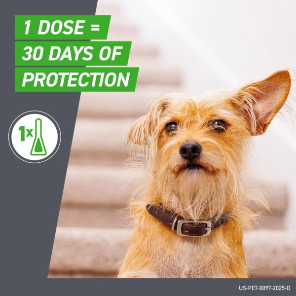 Frontline Plus Flea and Tick Treatment for Large Dogs Up to 45 to 88 lbs. 3 Treatments - Image 3