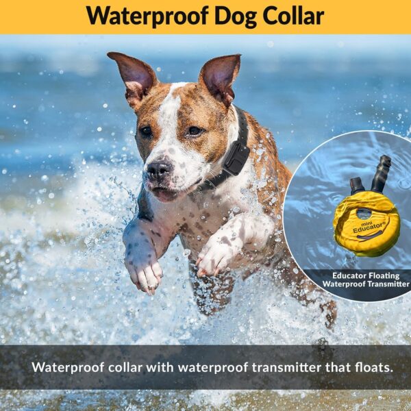 Educator E-Collar Humane Dog Training Collar with Remote, 100 Safe Tapping Stimulation Levels, Night Light, Waterproof, Rechargeable, 1/2 Mile 1 Small-Medium Dog, Yellow - Image 5