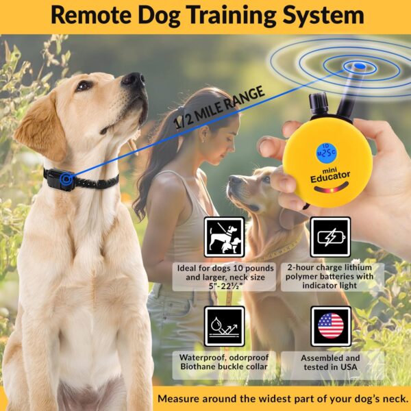 Educator E-Collar Humane Dog Training Collar with Remote, 100 Safe Tapping Stimulation Levels, Night Light, Waterproof, Rechargeable, 1/2 Mile 1 Small-Medium Dog, Yellow - Image 3