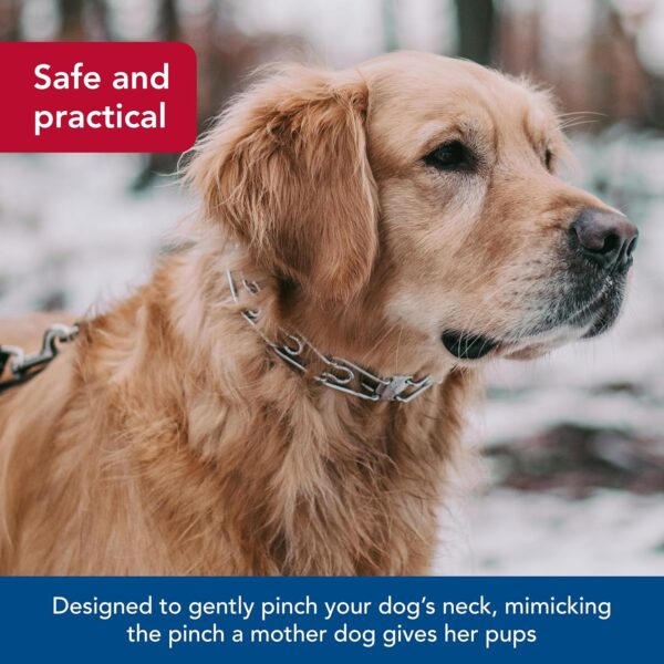Herm SPRENGER Ultra-Plus Prong Dog Training Collar, 3.0 mm x 18" Neck Size, 3.0 mm x 22" Chain Length, Steel Chrome Plated Dog Prong Collar, Pinch Collar for Dogs, Dog Correction Collar - Image 4